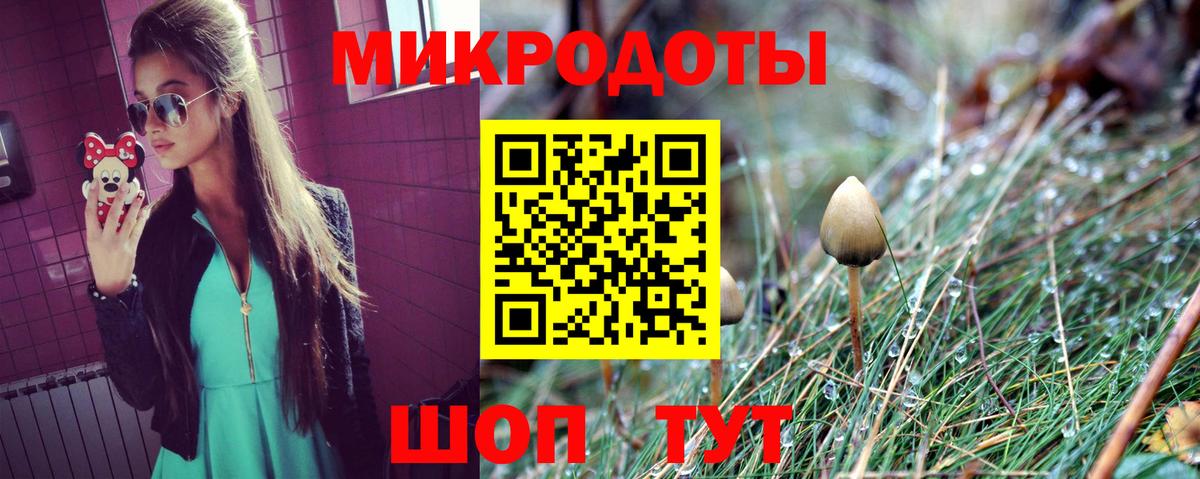 Галлюциногенные грибы Psilocybine cubensis Киселёвск