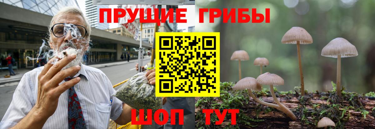 Галлюциногенные грибы Psilocybine cubensis  Псилоцибиновые грибы Psilocybine cubensis  Вход с VPN  Киселёвск 